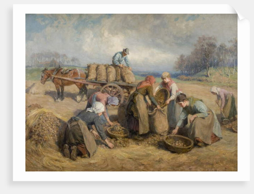 Potato Gatherers, Northumberland, 1903 by Ralph Hedley