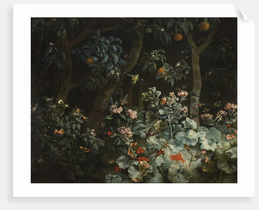 Foliage, Flowers and Birds, 1796 by Philip Reinagle