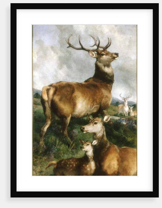 Deer of Chillingham Park, Northumberland, c.1867 by Edwin Landseer