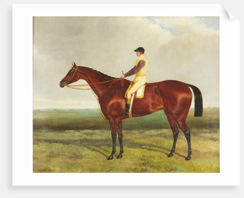 Bee's Wing, c.1840-45 by Harry Hall