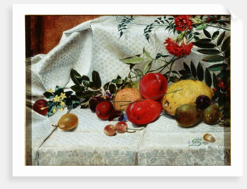 Study of Flowers and Fruit, 1860 by William Bell Scott
