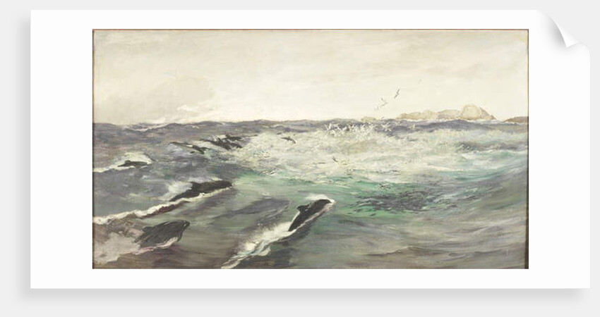 Porpoises Chasing Mackerel by Charles Napier Hemy