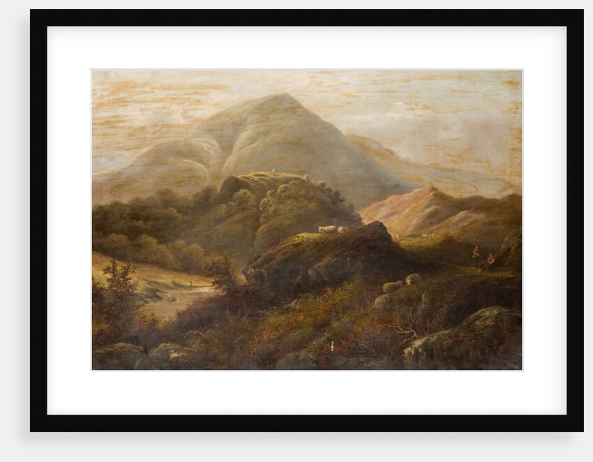 Landscape with Sheep by Anthony Graham