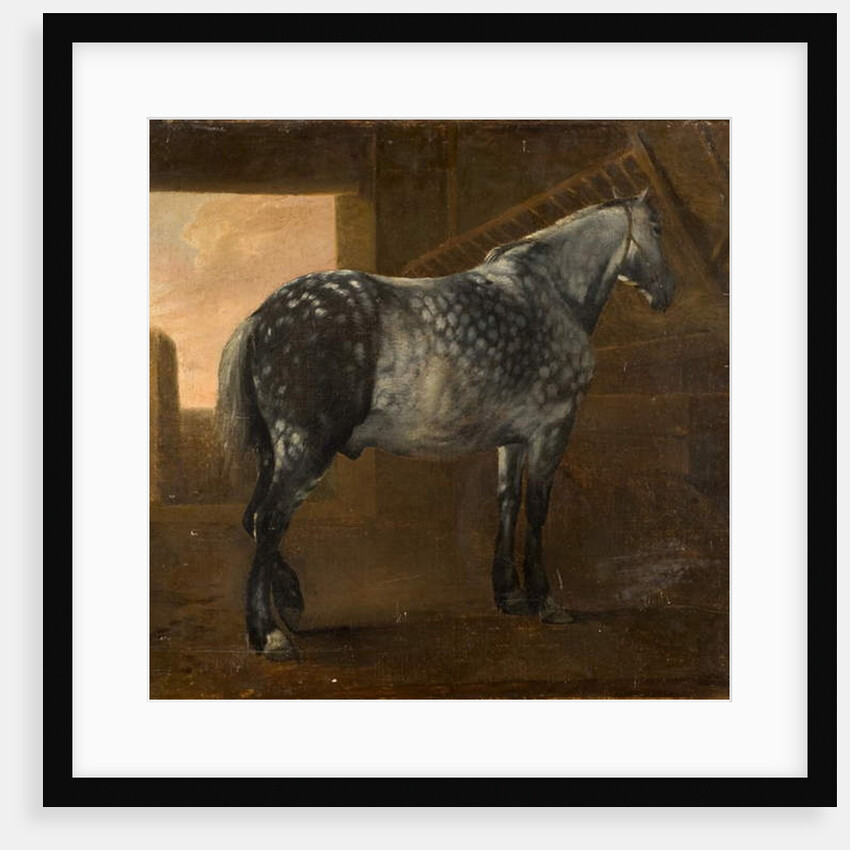 A Dapple Grey Horse by Aelbert Cuyp