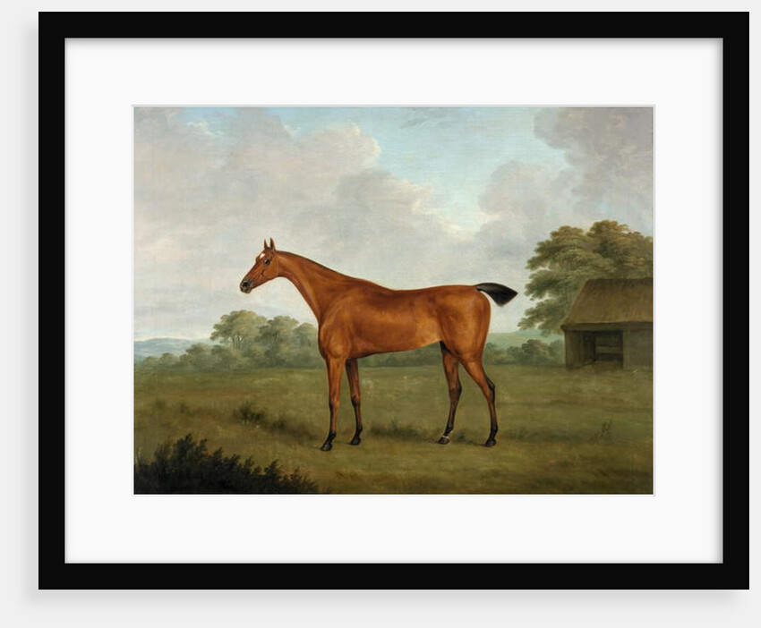 Chestnut Horse in a Landscape, 1815 by John Nost Sartorius