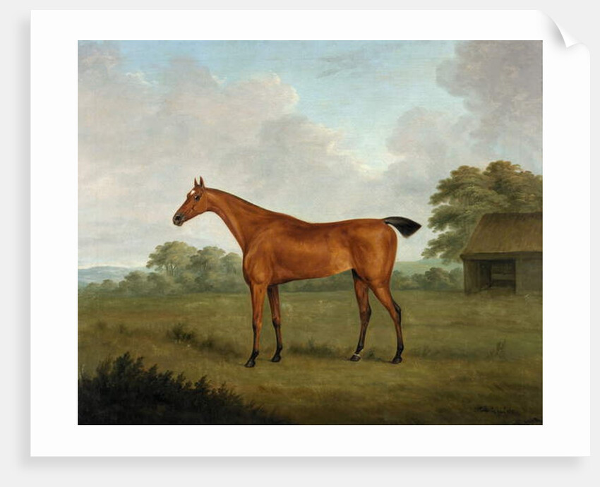Chestnut Horse in a Landscape, 1815 by John Nost Sartorius