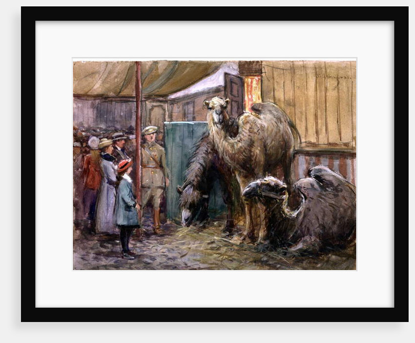 Bostock by John Atkinson