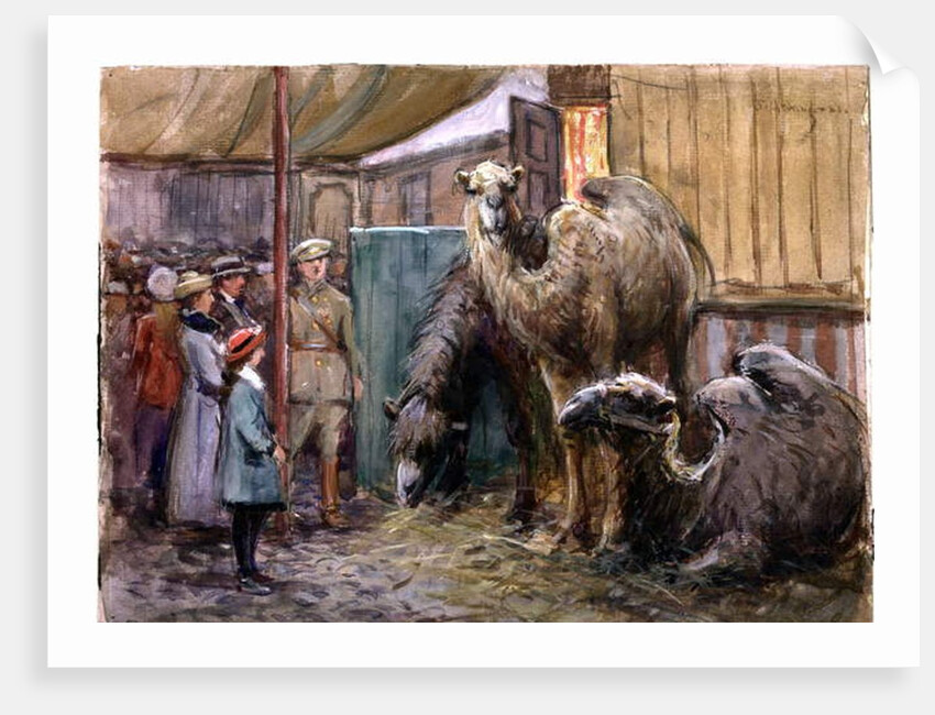 Bostock by John Atkinson