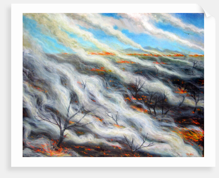 Scorched Earth, 2014, by Tilly Willis