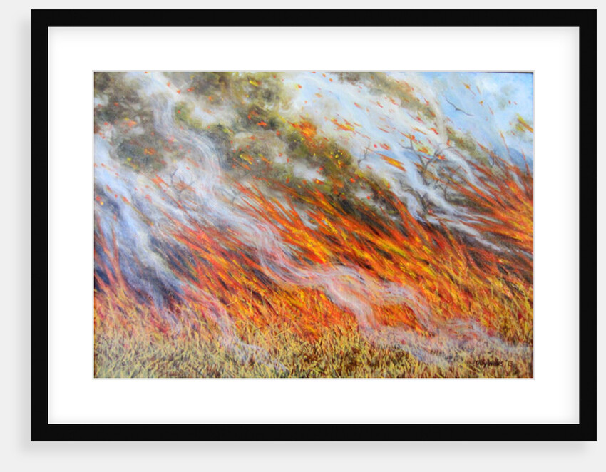 Bushfire Inferno, 2014 by Tilly Willis