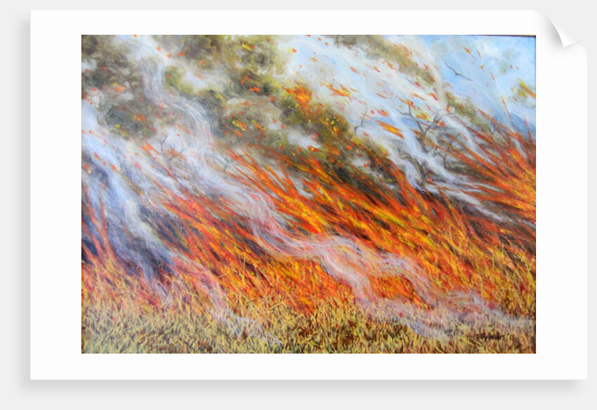 Bushfire Inferno, 2014 by Tilly Willis