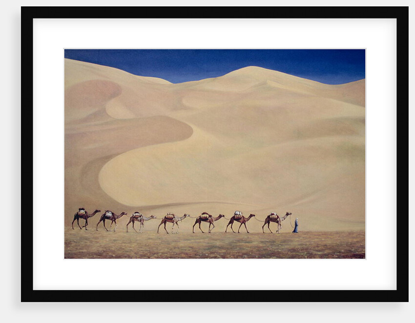 Camel Train 1993 by Tilly Willis