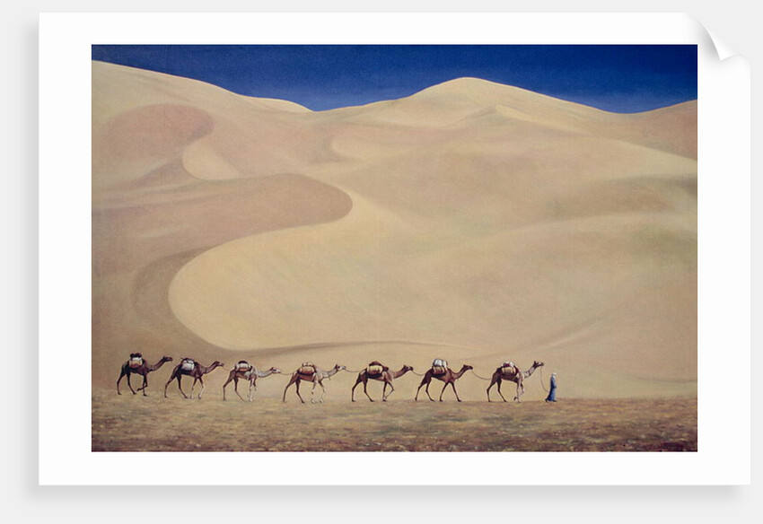 Camel Train 1993 by Tilly Willis
