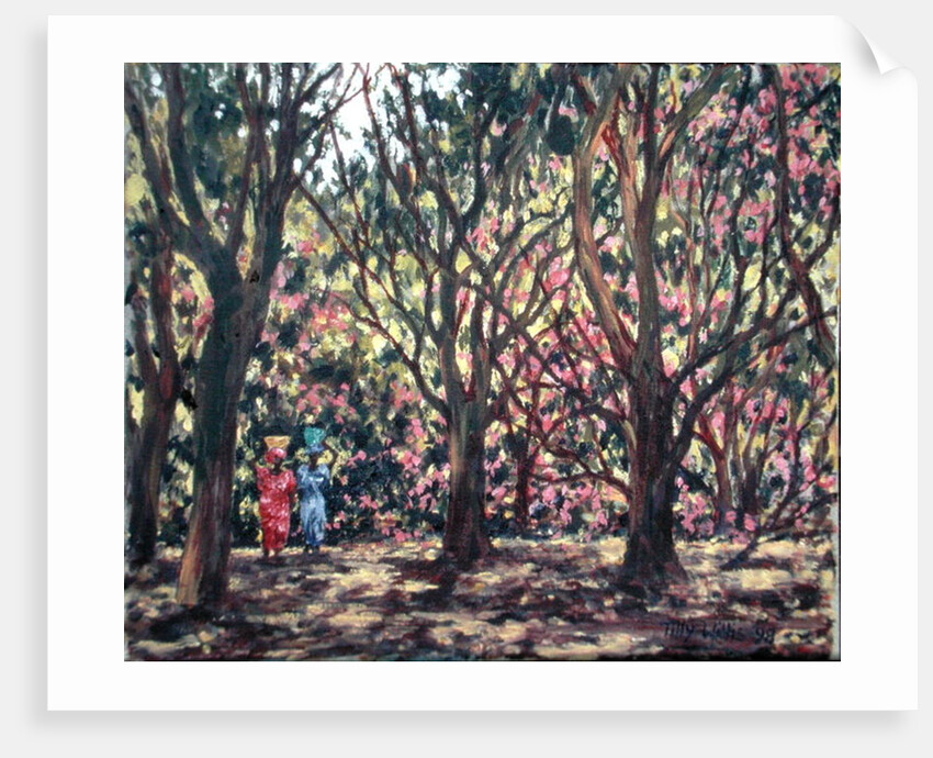 The Cashew Wood, 1998 by Tilly Willis