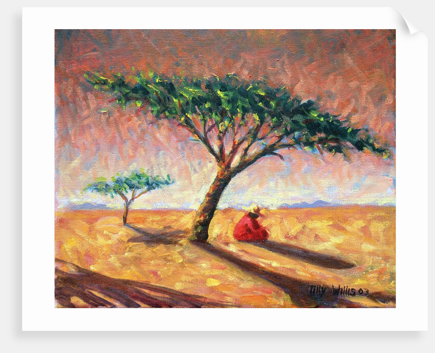 African Afternoon, 2003 by Tilly Willis