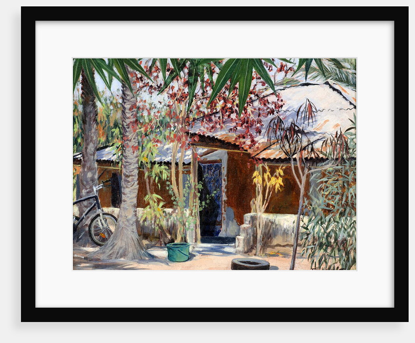 Samba's House, 2005 by Tilly Willis