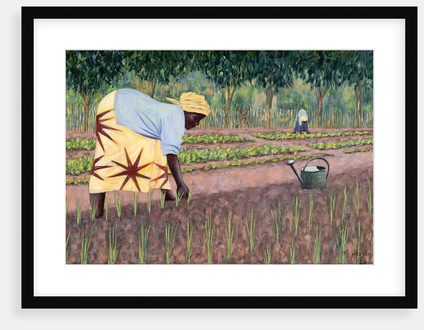 Planting Onions, 2005 by Tilly Willis