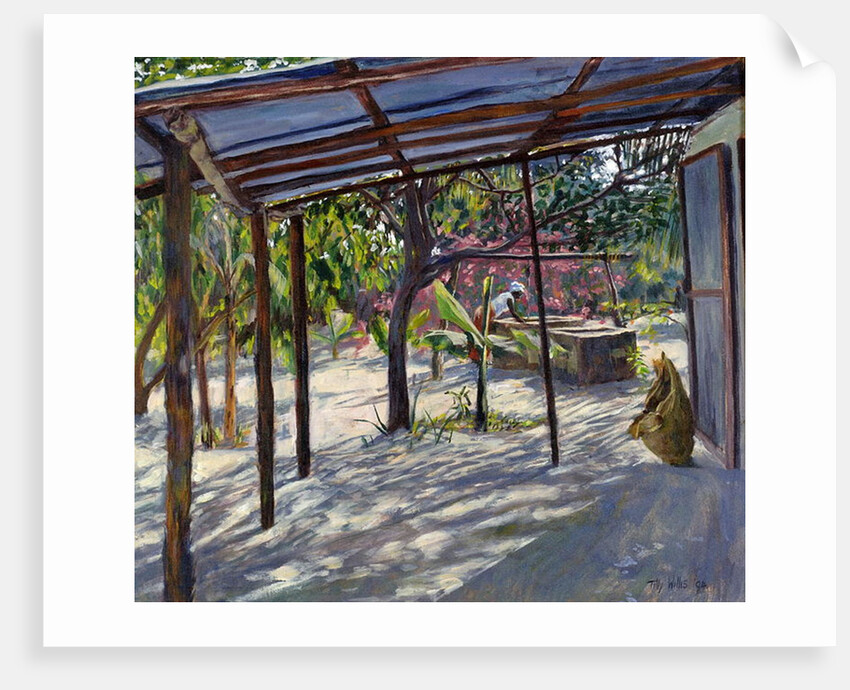 Morning Shadows, 2004 by Tilly Willis