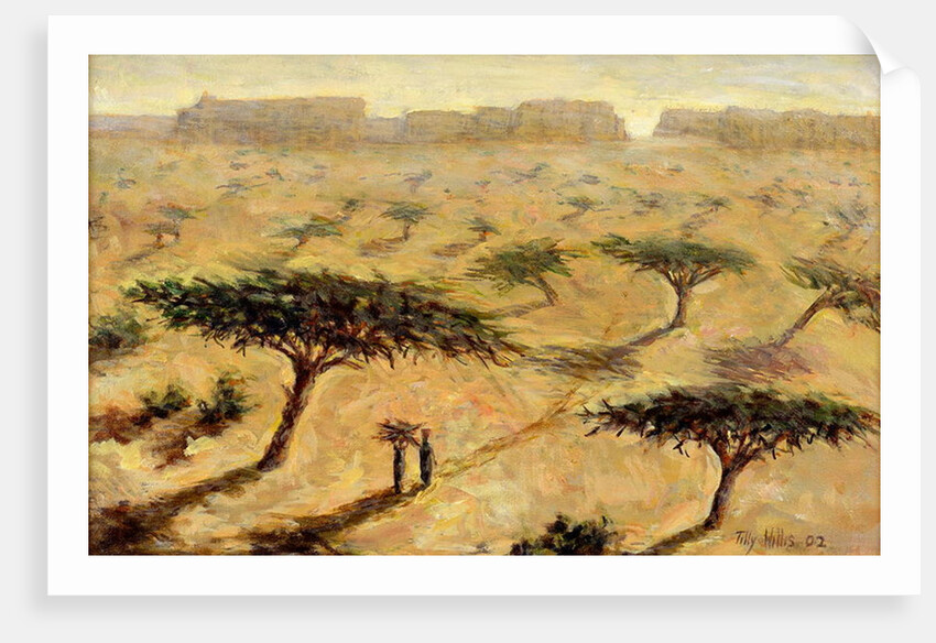 Sahelian Landscape, 2002 by Tilly Willis