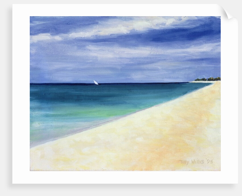 Indian Ocean II, 1995 by Tilly Willis