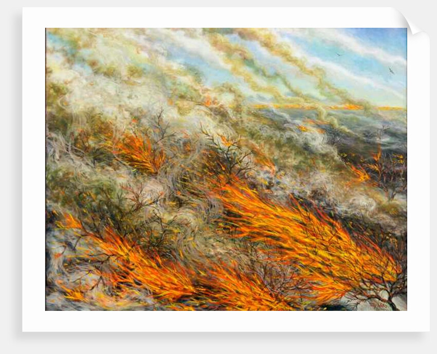 Blaze, 2016 by Tilly Willis