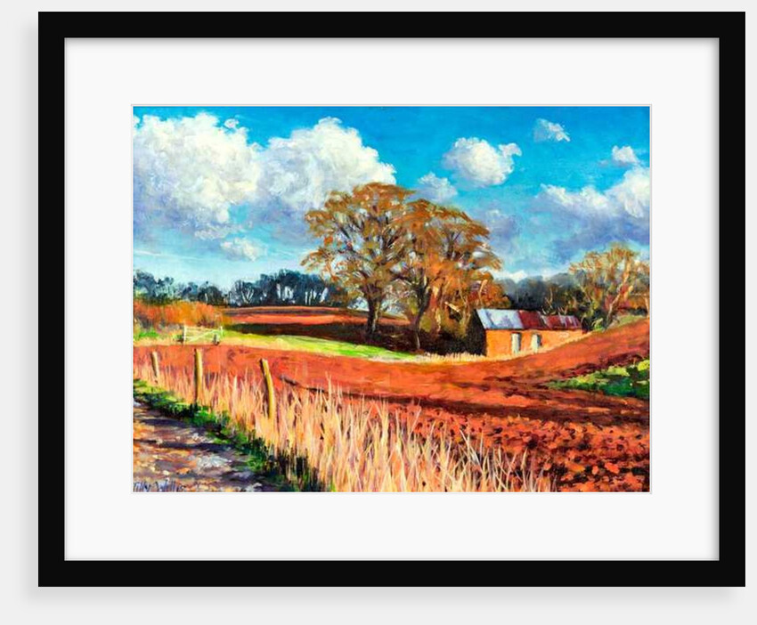 Country Barn, 2014 by Tilly Willis