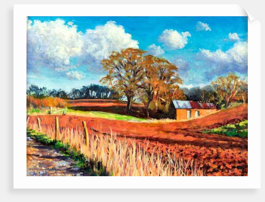 Country Barn, 2014 by Tilly Willis