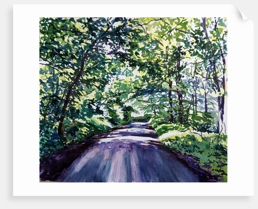 Woodland Road 2017 by Tilly Willis