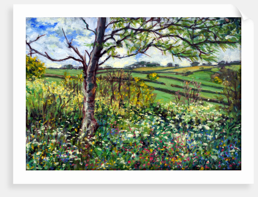 Across the Fields by Tilly Willis
