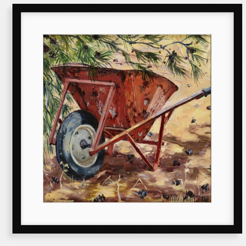 Rusty Wheelbarrow, 2009 by Tilly Willis