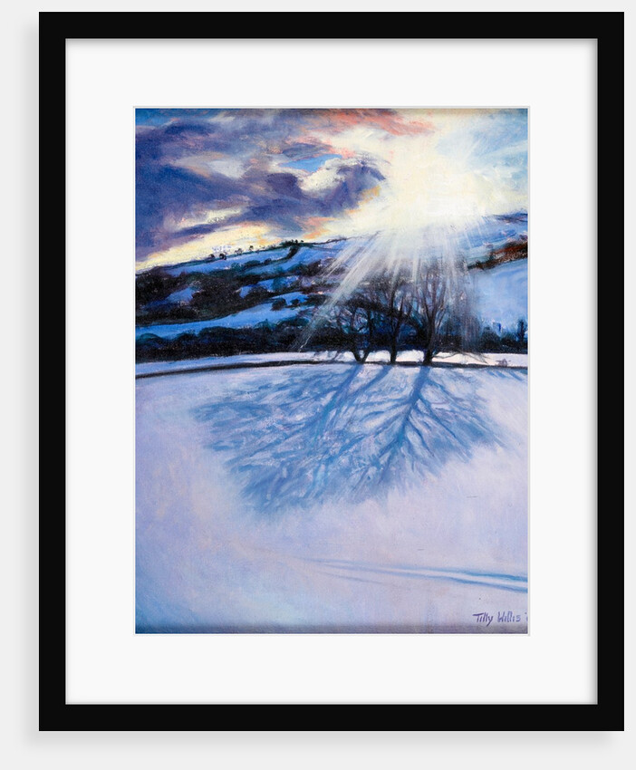 Snow Shadows, 2009 by Tilly Willis