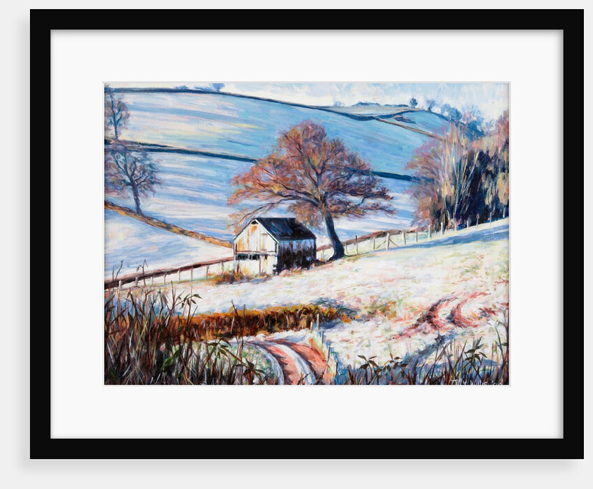 Winter Frost, 2009 by Tilly Willis