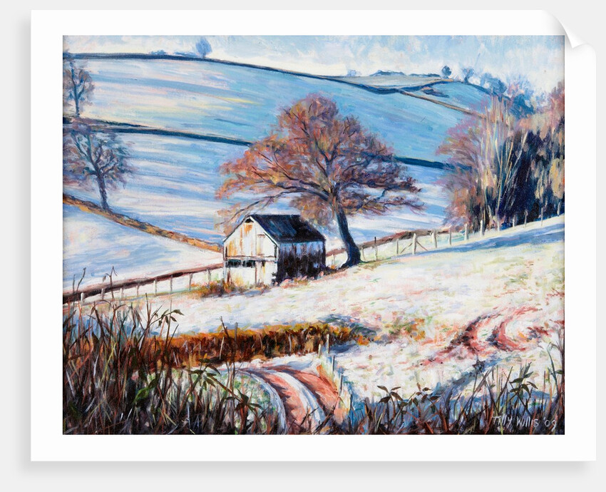 Winter Frost, 2009 by Tilly Willis