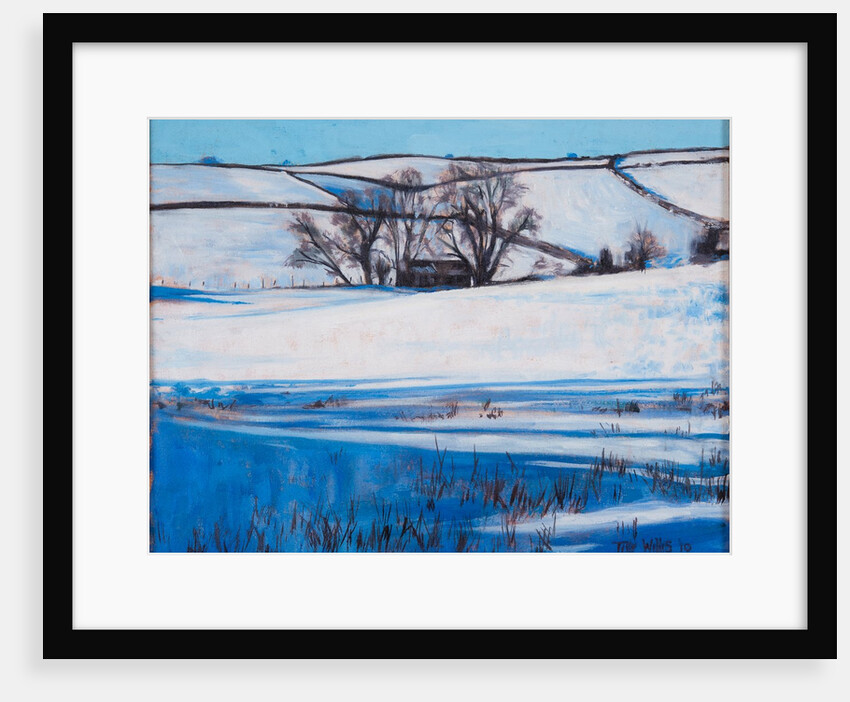 Snow Shadows, 2010 by Tilly Willis