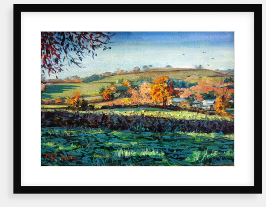 Autumn Light by Tilly Willis