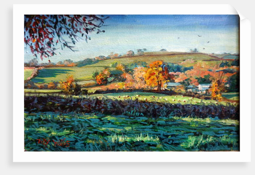 Autumn Light by Tilly Willis