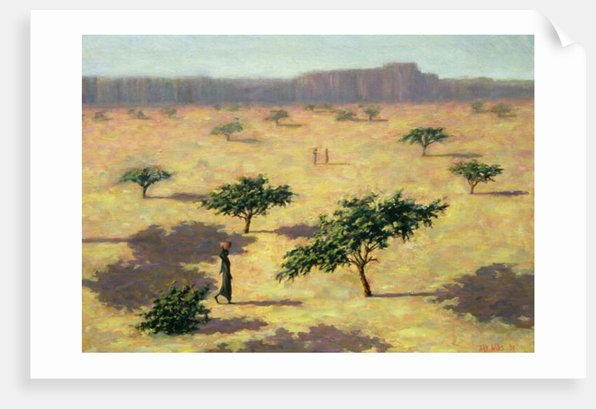 Sahelian Landscape, Mali, 1991 by Tilly Willis