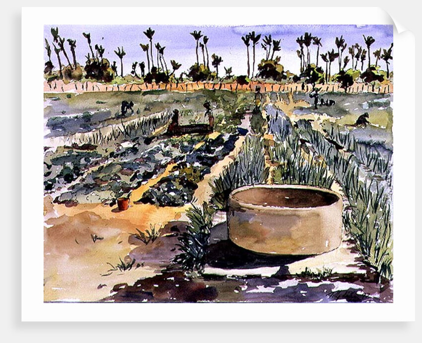 The Women's Garden, Senegal, West Africa, 1997 by Tilly Willis