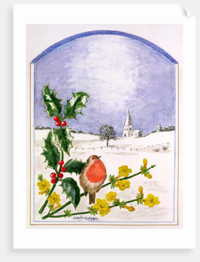 The Robin by Ursula Hodgson