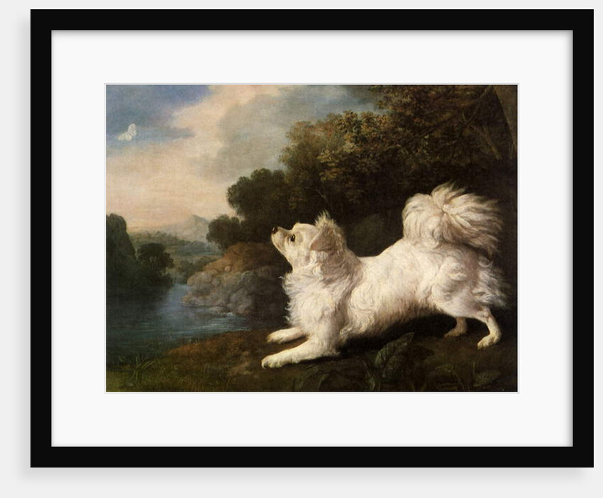 Spaniel belonging to painter Cosway chasing a butterfly, 1775 by George Stubbs