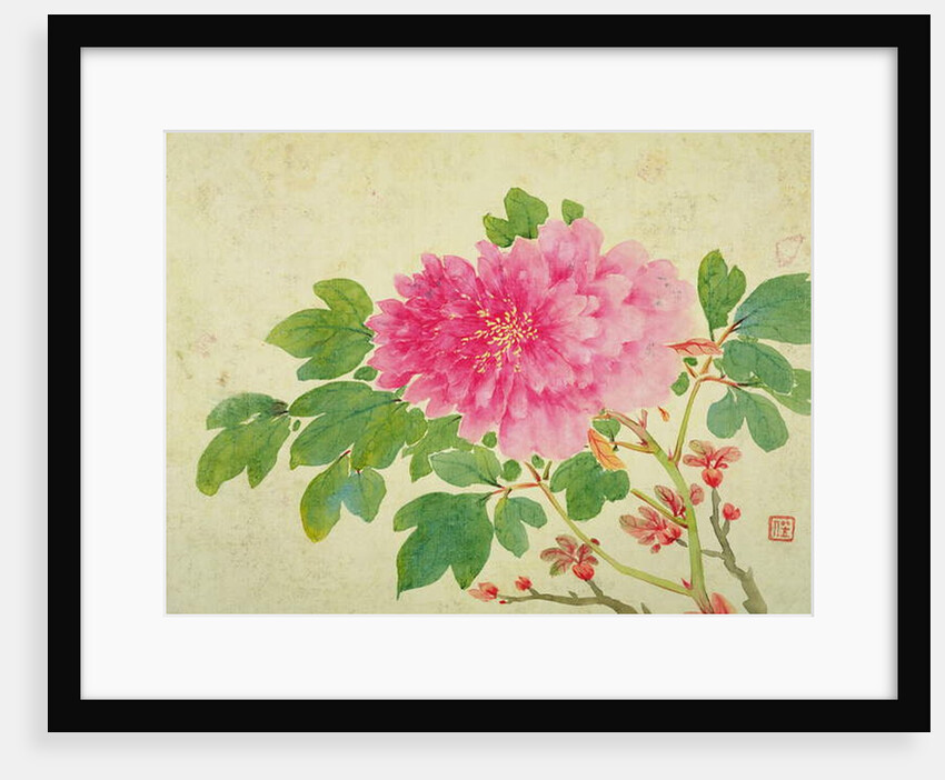 Painting of Peonies by Yu Jiang