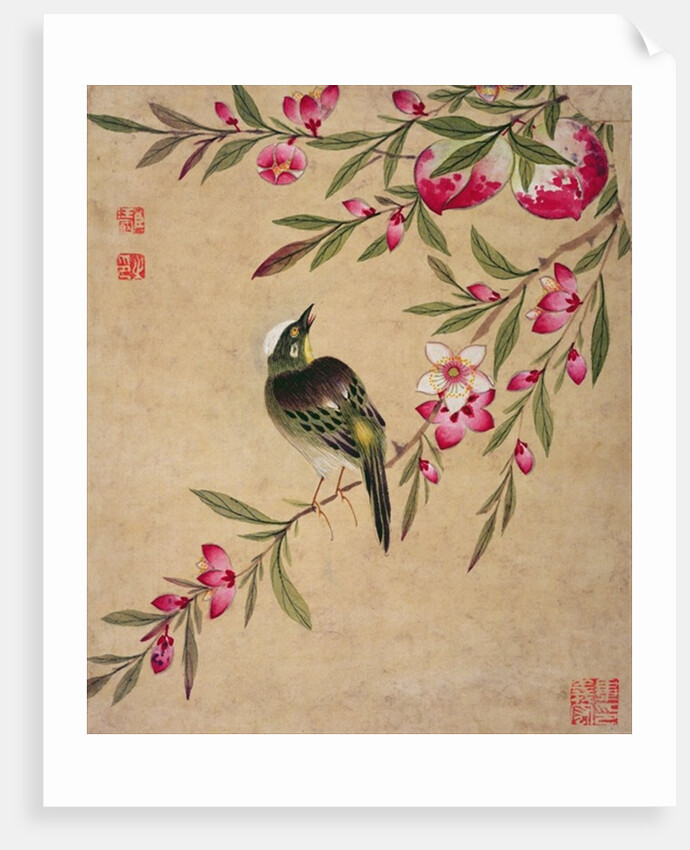 One of a series of paintings of birds and fruit, late 19th century by Guochen Wang