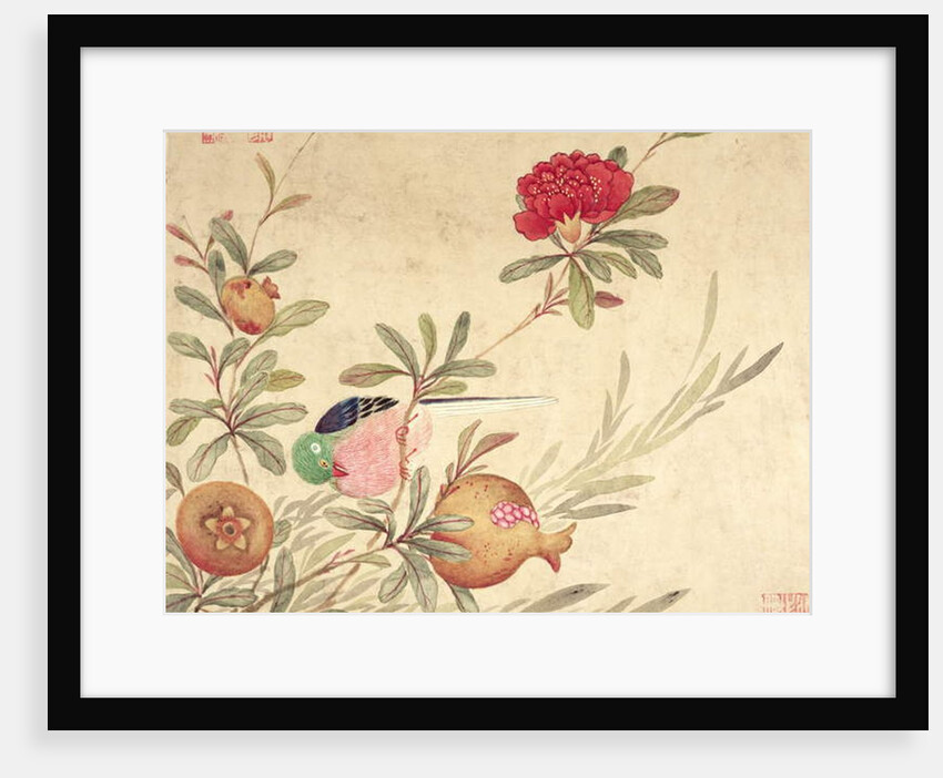 One of a series of paintings of birds and fruit, late 19th century by Guochen Wang