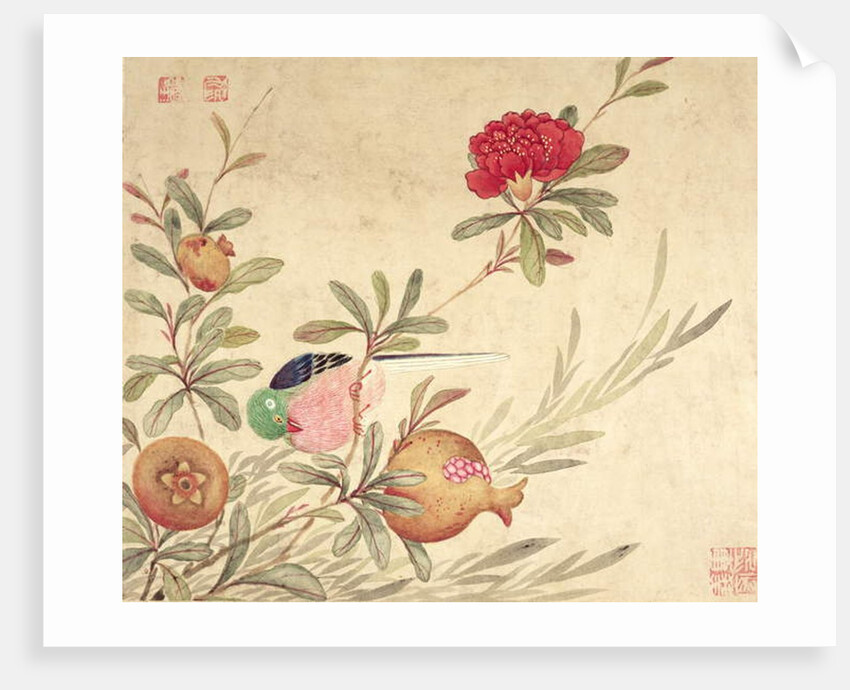 One of a series of paintings of birds and fruit, late 19th century by Guochen Wang