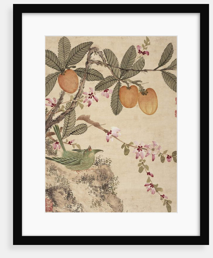 One of a series of paintings of birds and fruit, late 19th century by Guochen Wang