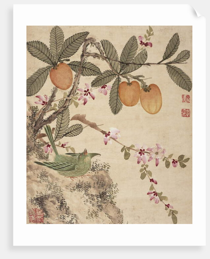 One of a series of paintings of birds and fruit, late 19th century by Guochen Wang