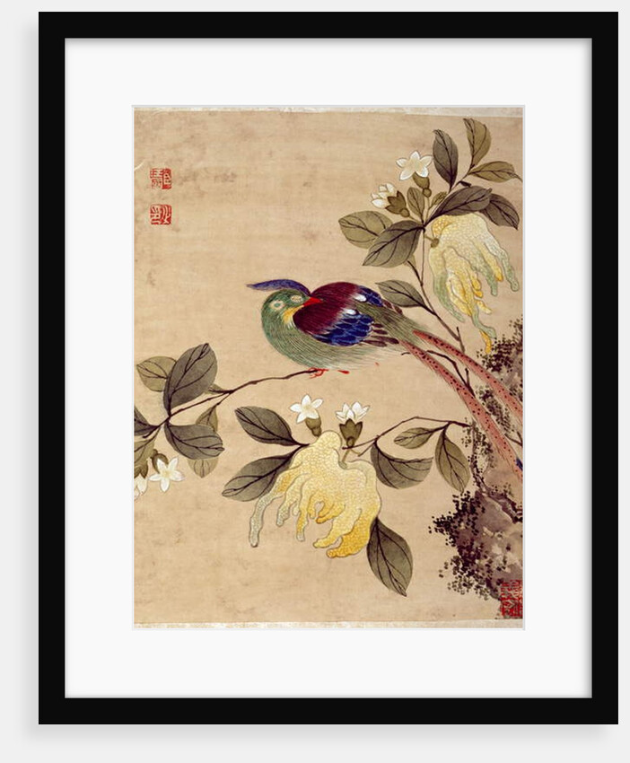 One of series of paintings of birds and fruit, late 19th century by Guochen Wang