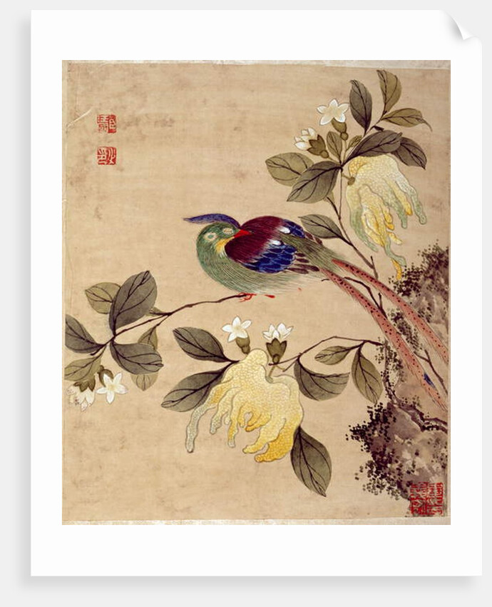 One of series of paintings of birds and fruit, late 19th century by Guochen Wang