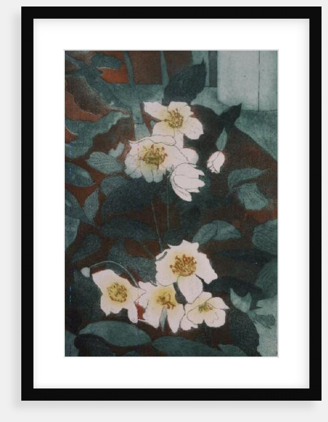 Christmas Roses by Valerie Daniel
