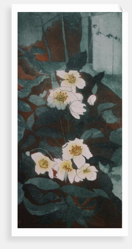 Christmas Roses by Valerie Daniel